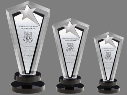 Acrylic Metal Star Trophy - Premium Customizable Awards for Excellence