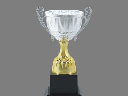 Silver & Golden Cup Trophy - Premium Two-Tone Metal Award